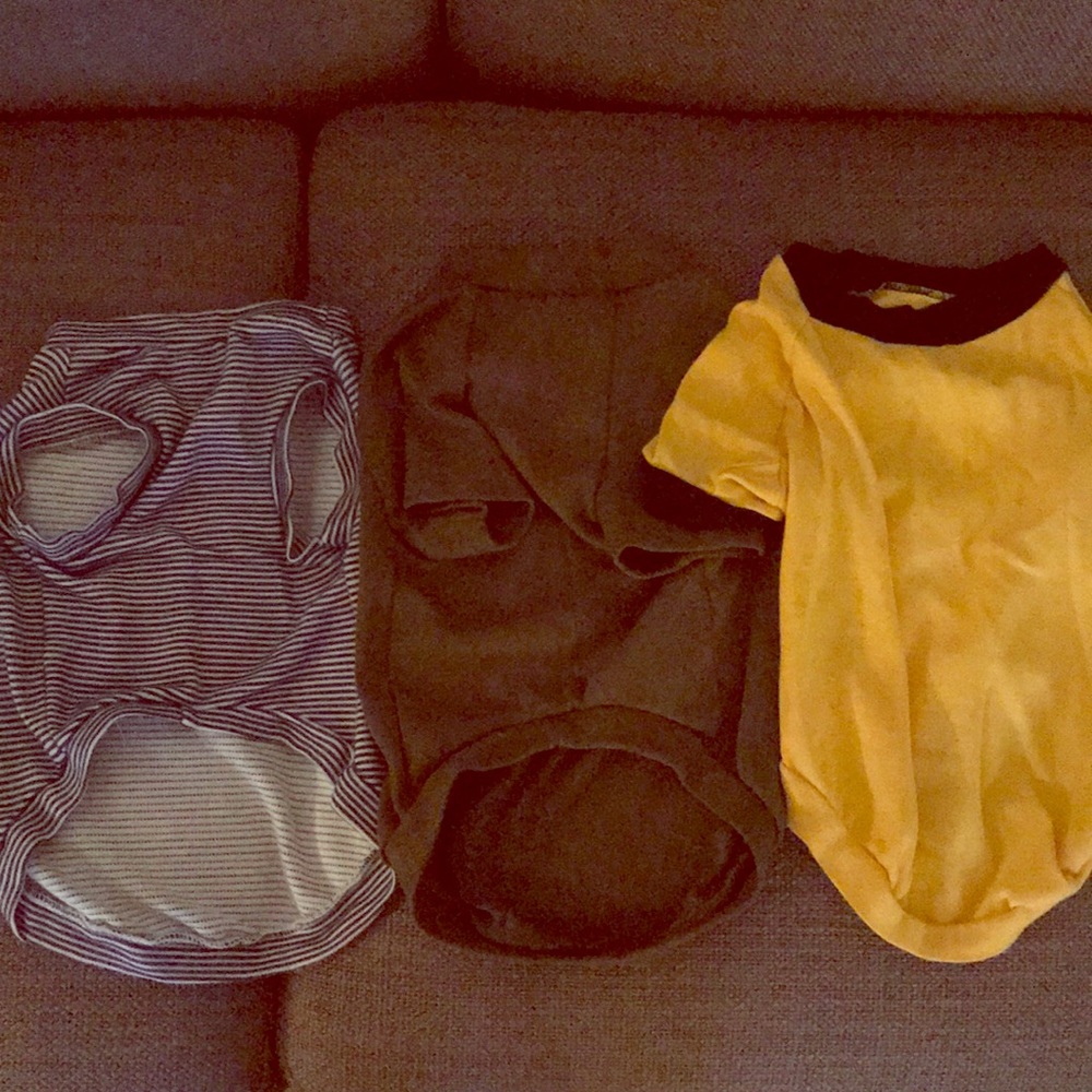 3 dog t’s
